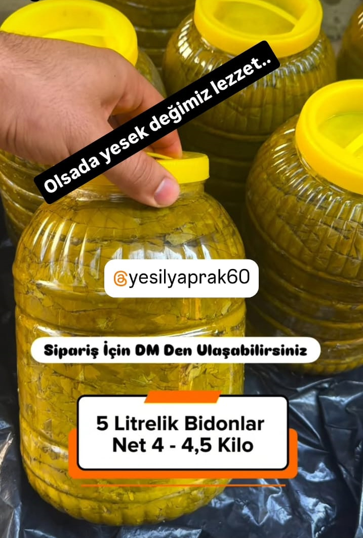 Yeşil Yaprak 60